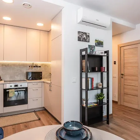 Hotel Lazdyneliu Vingis *