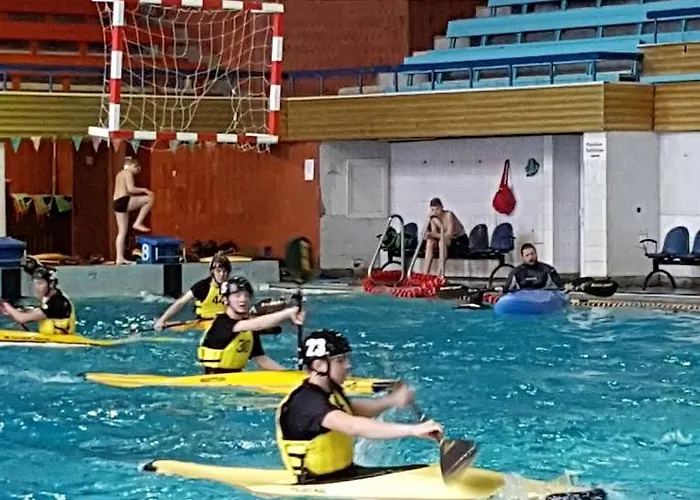 Lazdyneliu Vingis Vilnius