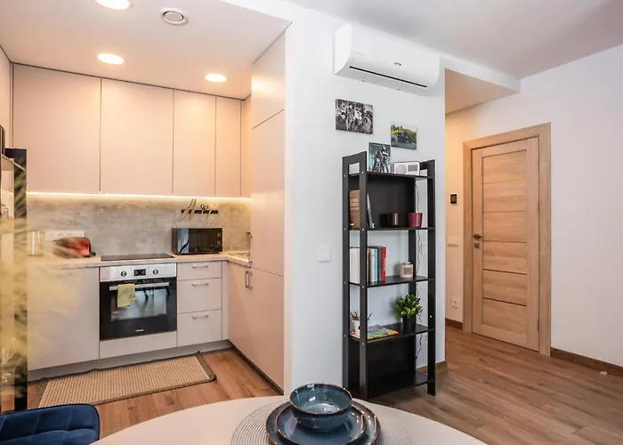 Отель Lazdyneliu Vingis *